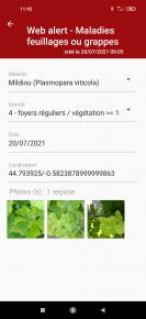 Le Web Alerte Vigne devient Smart Le Web Alerte Vigne devient Smart