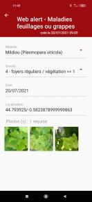 Le Web Alerte Vigne devient Smart