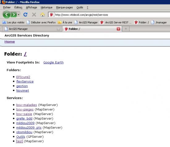 interface ArcGIS Services