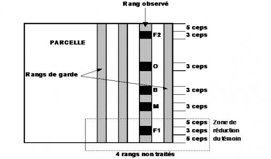 schéma du dispositif d'observation